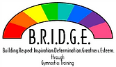 B.R.I.D.G.E. Logo