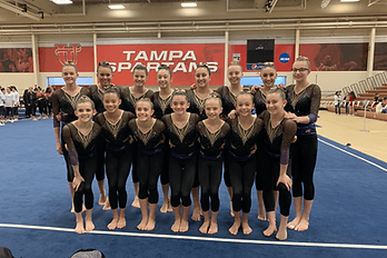 Optional team training