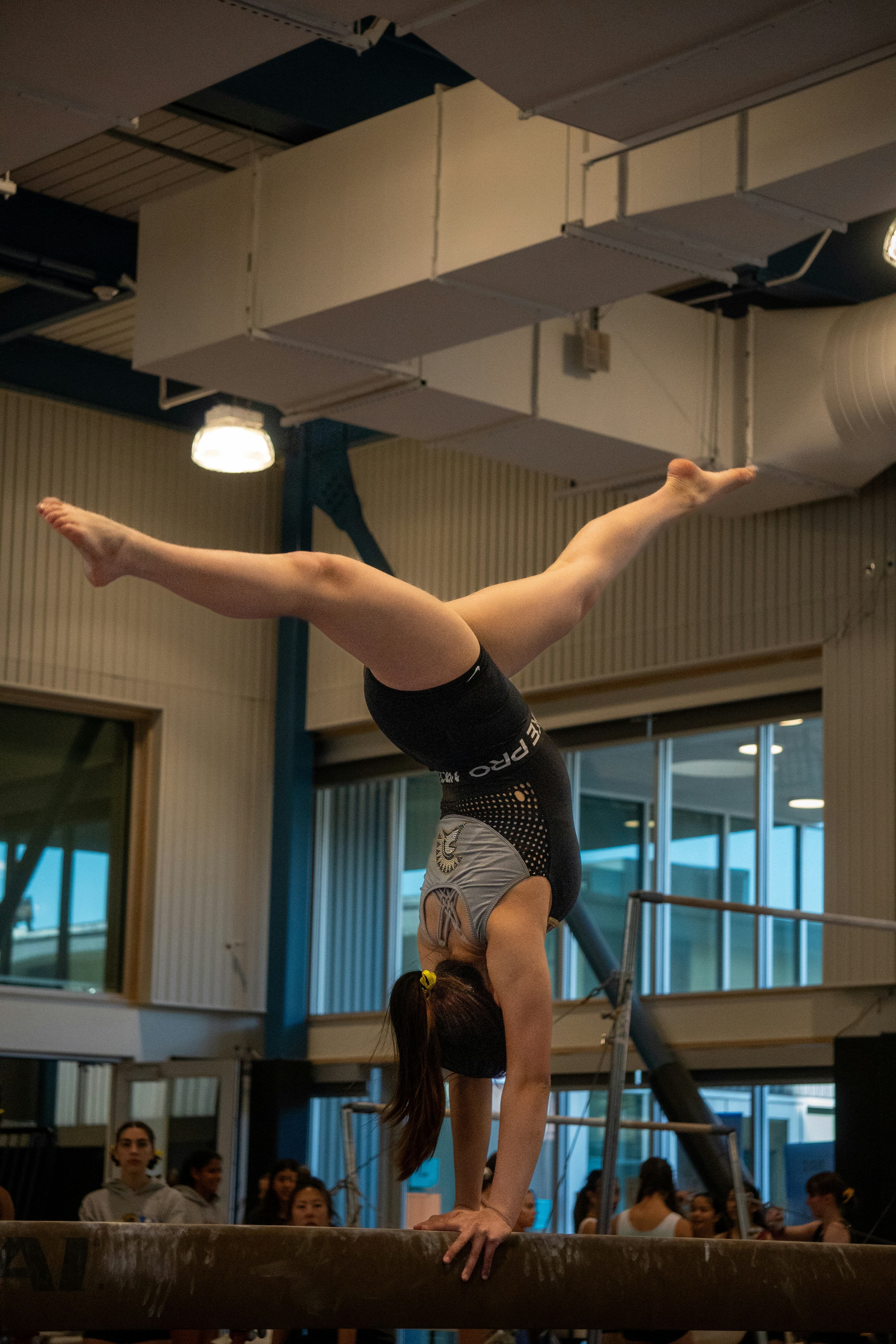 Girls Compulsory & XCEL
